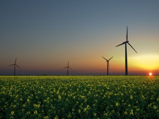 Рынок возобновляемой энергии сводит покупателей с продавцами напрямую