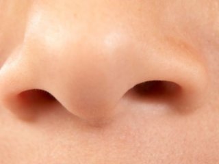Мощный антибиотик производится в носу человека