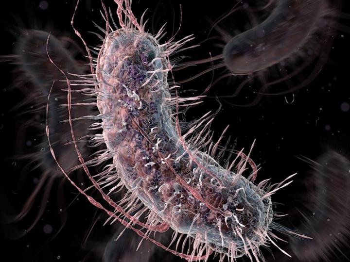 Ученые радикально перепрограммировали геном бактерии