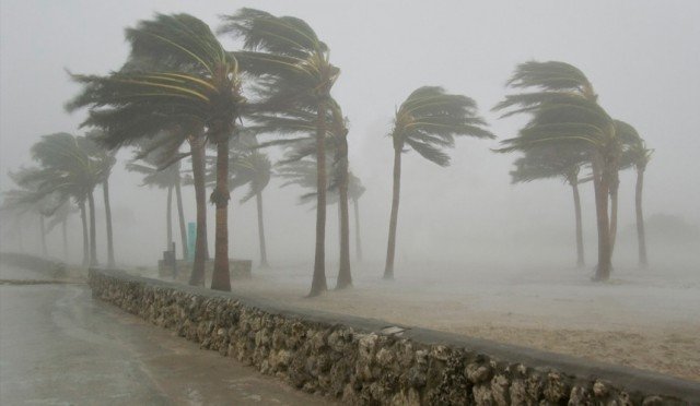 Академик Игорь Мохов: "Ураганы невозможно предсказать точно"