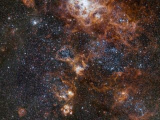 Астрономы получили новое детальное изображение Туманности Тарантул и ее многочисленных соседей