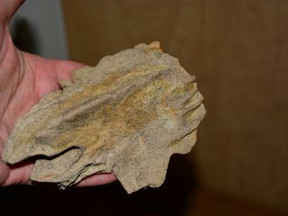 © Максим Архангельский/ пресс-служба СГТУ