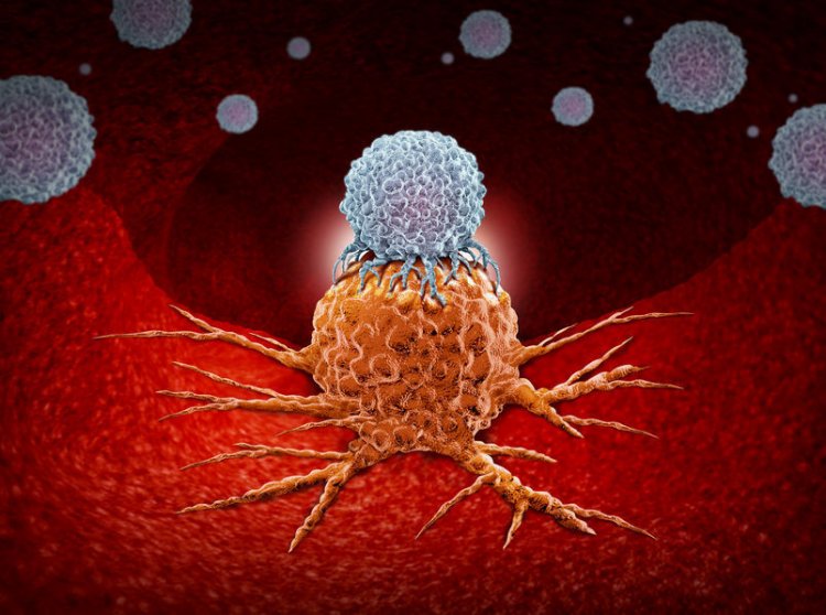 Ученые открыли новую форму иммунотерапии против рака кожи