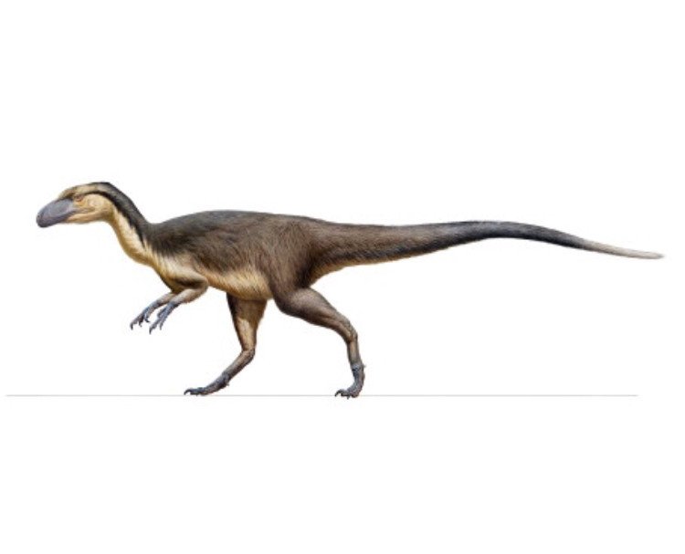 В Австралии найдены останки полярных пернатых динозавров