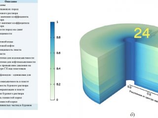 В ИНГГ СО РАН создали уникальную базу данных, в которой собраны цифровые модели нефтегазонасыщенных коллекторов