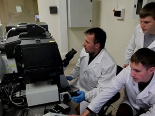 Исследователи ДВФУ разработали имплантируемые гели для восстановления нервной ткани