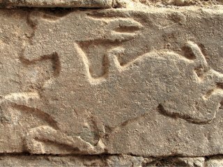Изображение оленя со стены гробницы