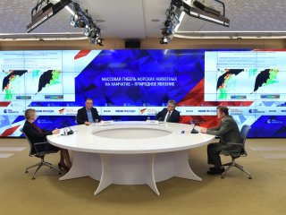 Ситуация на Камчатке: пресс-конференция ученых РАН в МИА "Россия сегодня"…