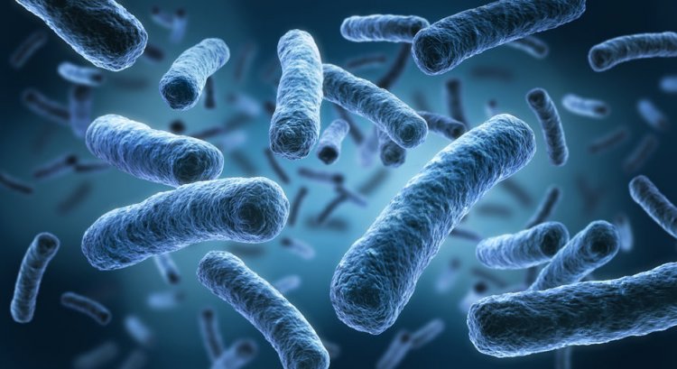Предки бактерии легионеллы инфицировали клетки еще два миллиарда лет назад