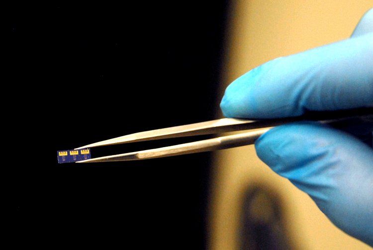 Внешний вид микрочипа с биооптоэлектронным транзистором. Источник: пресс служба МИЭТ