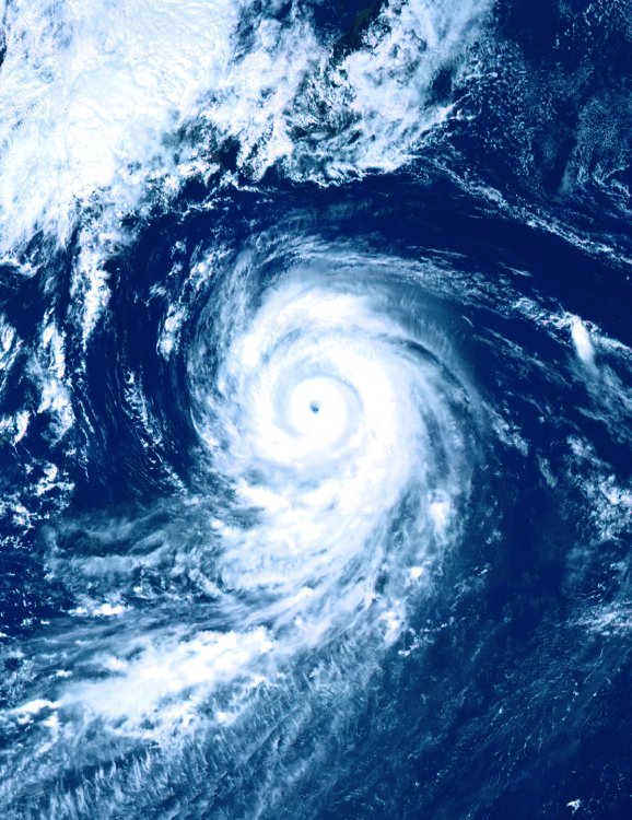 Тайфун «Лайонрок» в cеверо-восточной части Тихого океана (снимок сделан со спутника Himawari-8). Источник фото: wikinews.org