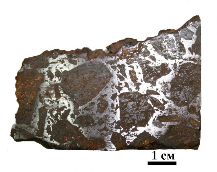 Метеорит Караванное (поверхность распила). Фотография предоставлена ГЕОХИ РАН