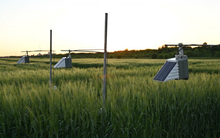 Фото - пресс-служба НЦМУ «Агротехнологии будущего»