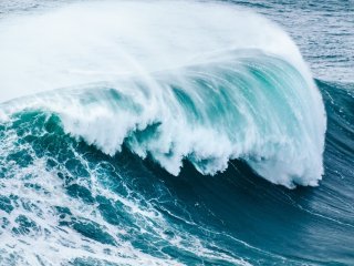 Море. Фото: wirestock / фотобанк Freepik