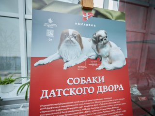 Фото: Елена Либрик / Научная Россия