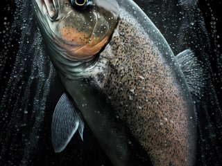 Изображение: virtosmedia/Фотобанк RU.123.RF