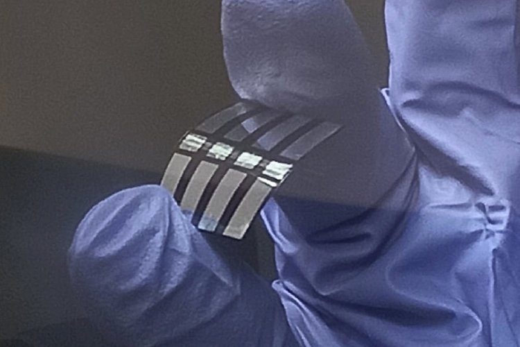 Примечательное свойство разрабатываемых перовскитных солнечных элементов — гибкость.Фото: пресс-служба УрФУ