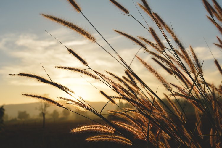 Источник - ru.123rf.com