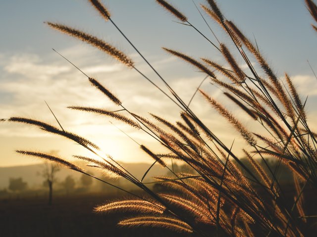 Источник - ru.123rf.com