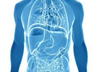 На ранних стадиях воспалительных заболеваний кишечника происходят изменения в его микрофлоре. Фото: ru.123rf.com