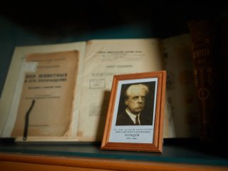 В Институте биологии развития им. Н.К. Кольцова РАН. Фото: Елена Либрик / «Научная Россия»