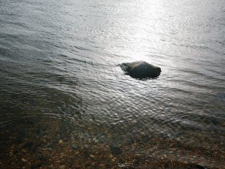 Фото: Ольга Мерзлякова / «Научная Россия»