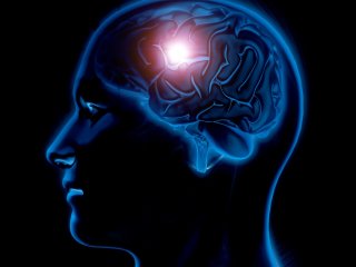 Изображение: Фотобанк Freepik