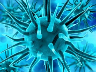 Изображение: Фотобанк Freepik