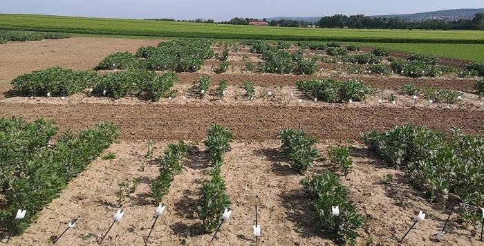 ������&nbsp; ������ ���������������� ����� �����