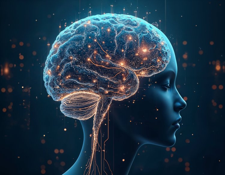 Мозг стареет быстрее, чем вы сами? Сон — ключ к решению проблемы. Фото: Freepik.com