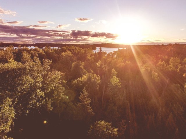 Источник фото: ru.123rf.com