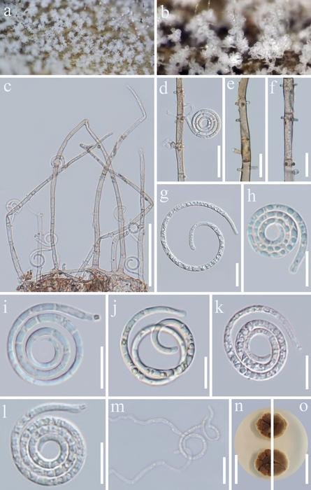 ��������&nbsp; ������� ������� ������� ����� ��� ������