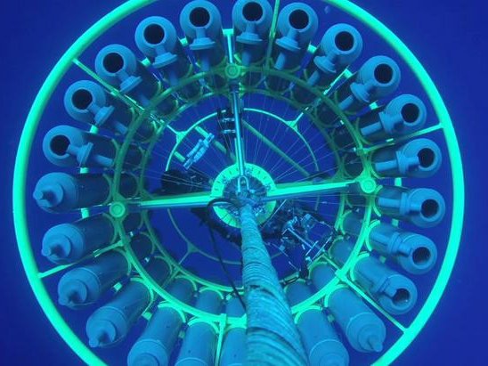 Вид на пробоотборник в виде розетки, поднимающийся к поверхности для сбора проб. Фото: Hawai'i Ocean Time-series