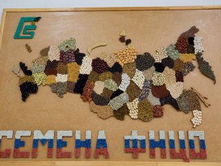 Фото: Ольга Мерзлякова / «Научная Россия»