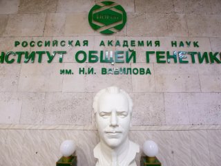 Фото Ольги Мерзляковой