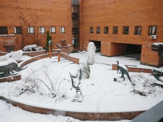 Фото Ольги Мерзляковой