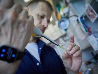 Работа молекулярного биолога связана с микролитровыми объемами. Фото: Елена Либрик / «Научная Россия»