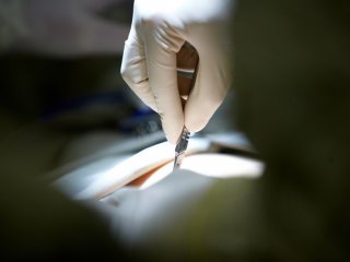 Андрей Каприн: «Главный враг рака – ранняя диагностика»