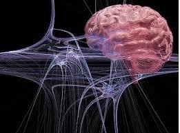 Обнаружен нейротрансмиттер, вызывающий болезнь Альцгеймера