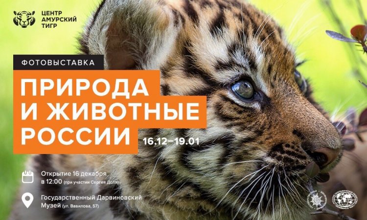 16 декабря в Дарвиновском музее откроется фотовыставка «Природа и животные России»