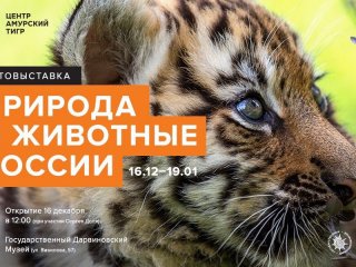 16 декабря в Дарвиновском музее откроется фотовыставка «Природа и животные России»