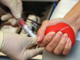 В США геям и бисексуалам разрешат быть донорами крови