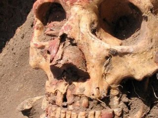 «Черную смерть» люди знали задолго до XIV века