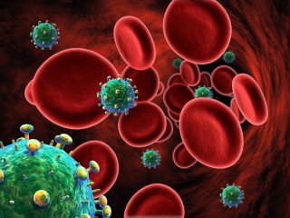 Клетки с ВИЧ активизируют, чтобы убить