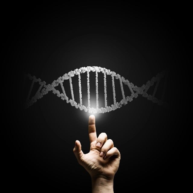 Ученые собираются создать геном человека с нуля
