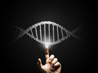 Ученые собираются создать геном человека с нуля