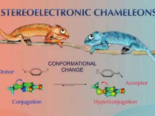 Химики МГУ создали концепцию стереоэлектронных хамелеонов