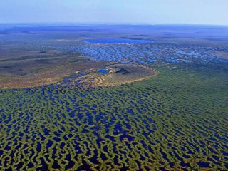 Ученые ТГУ создают станцию для изучения климата на крупнейшем болоте мира