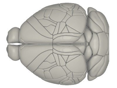 Открылся Brain Atlas, база данных живых клеток человеческого мозга
