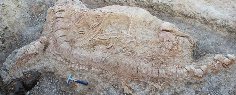В Индии найден хорошо сохранившийся скелет ихтиозавра